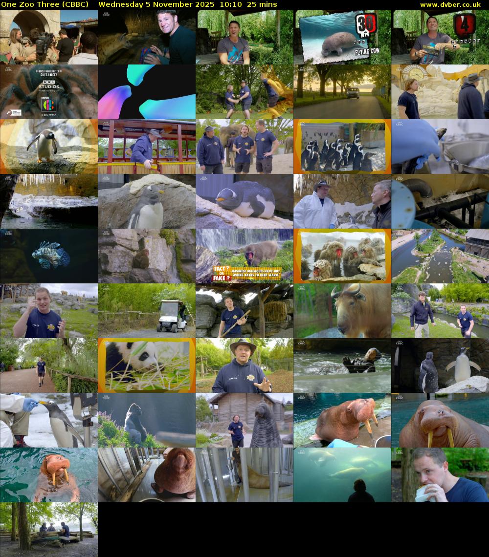 One Zoo Three (CBBC) Wednesday 5 November 2025 10:10 - 10:35