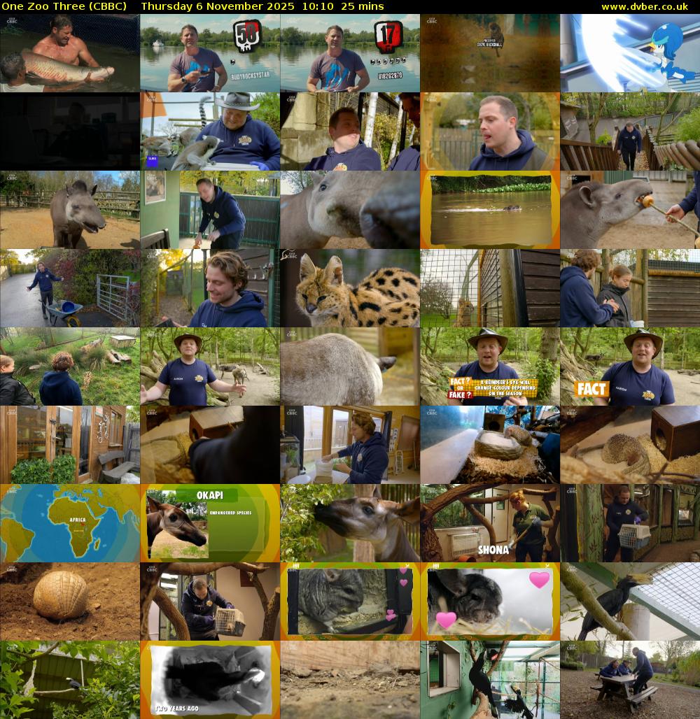 One Zoo Three (CBBC) Thursday 6 November 2025 10:10 - 10:35
