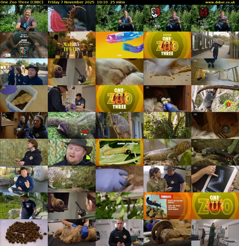 One Zoo Three (CBBC) Friday 7 November 2025 10:10 - 10:35