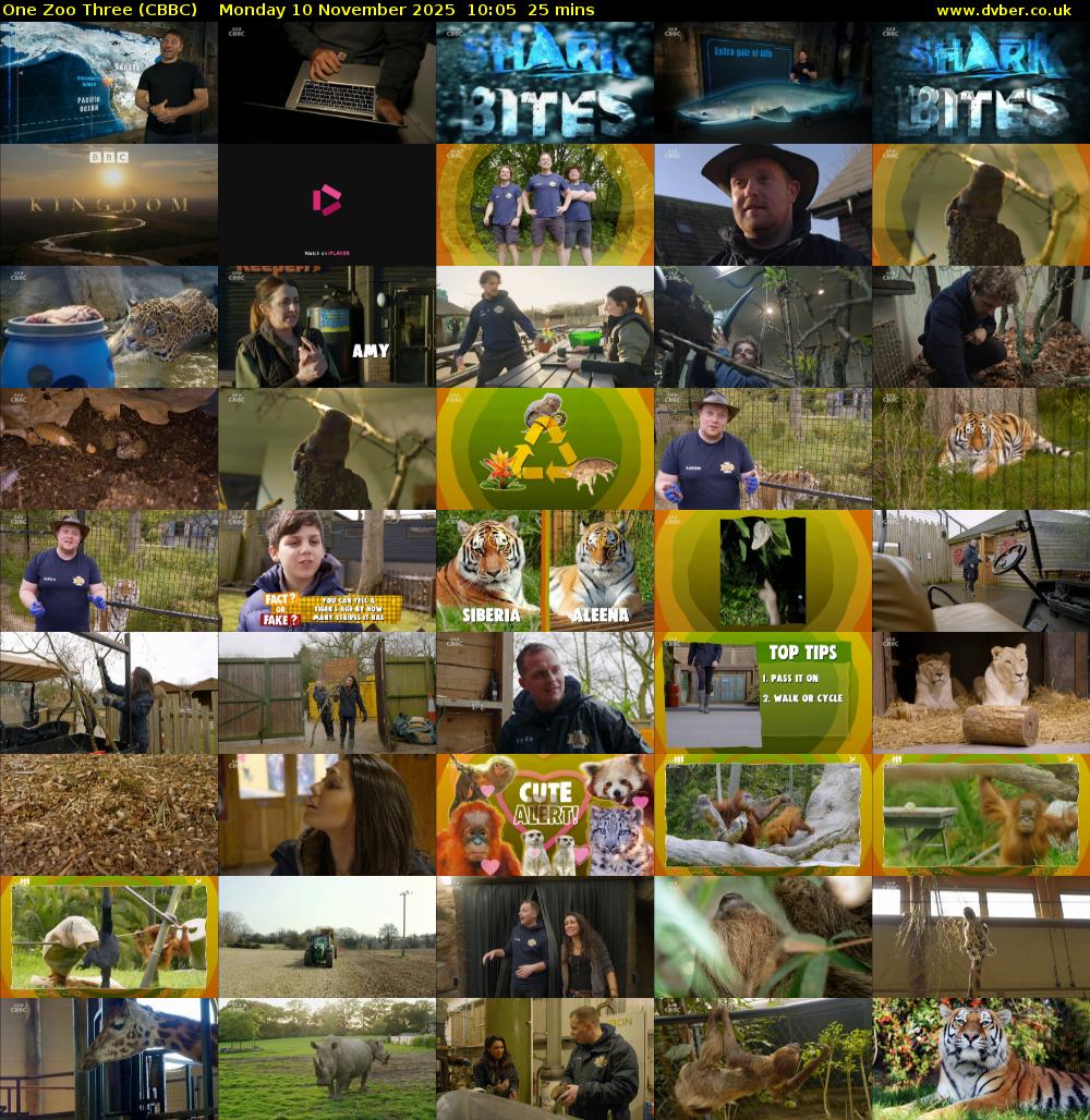 One Zoo Three (CBBC) Monday 10 November 2025 10:05 - 10:30