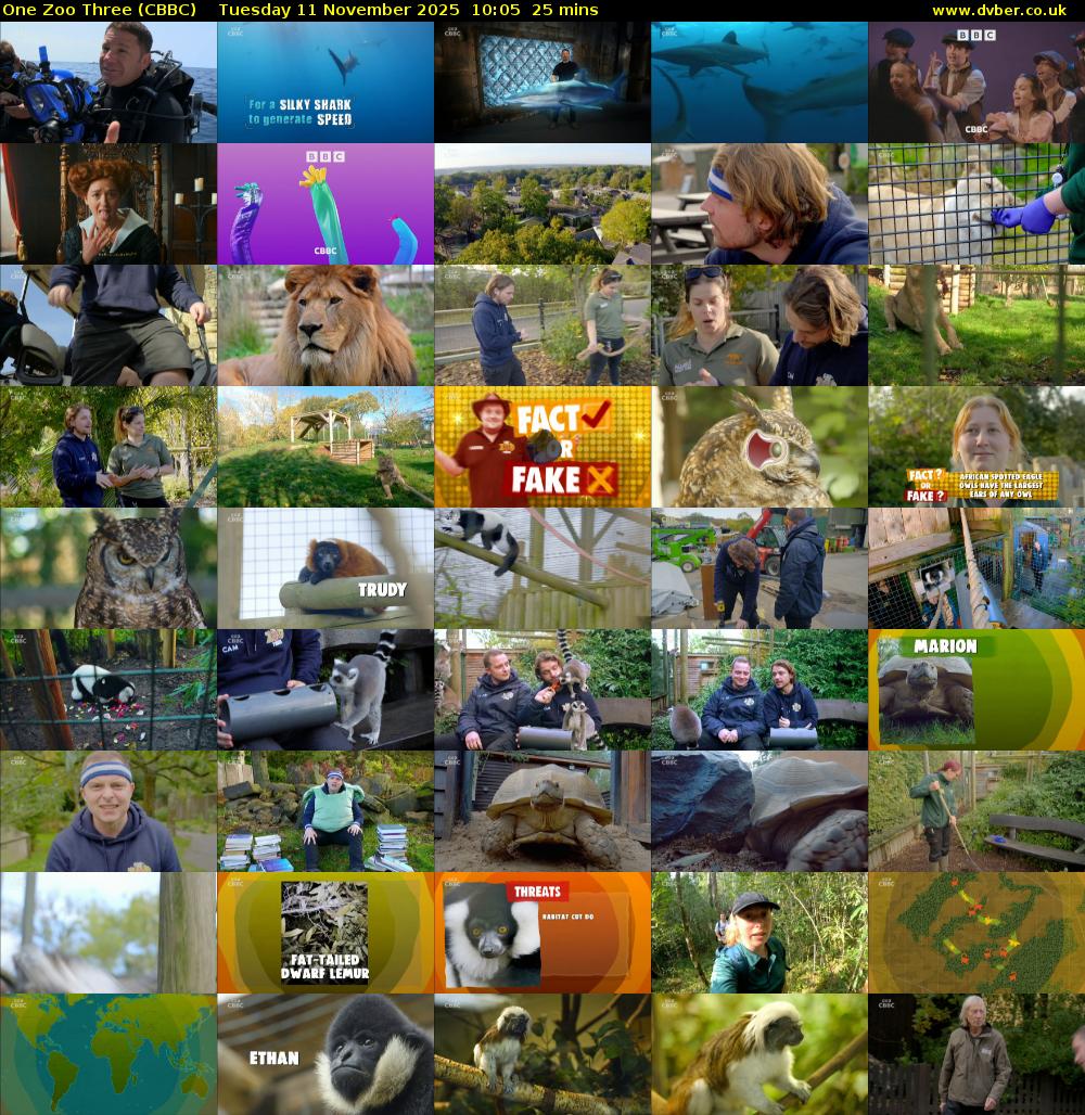 One Zoo Three (CBBC) Tuesday 11 November 2025 10:05 - 10:30