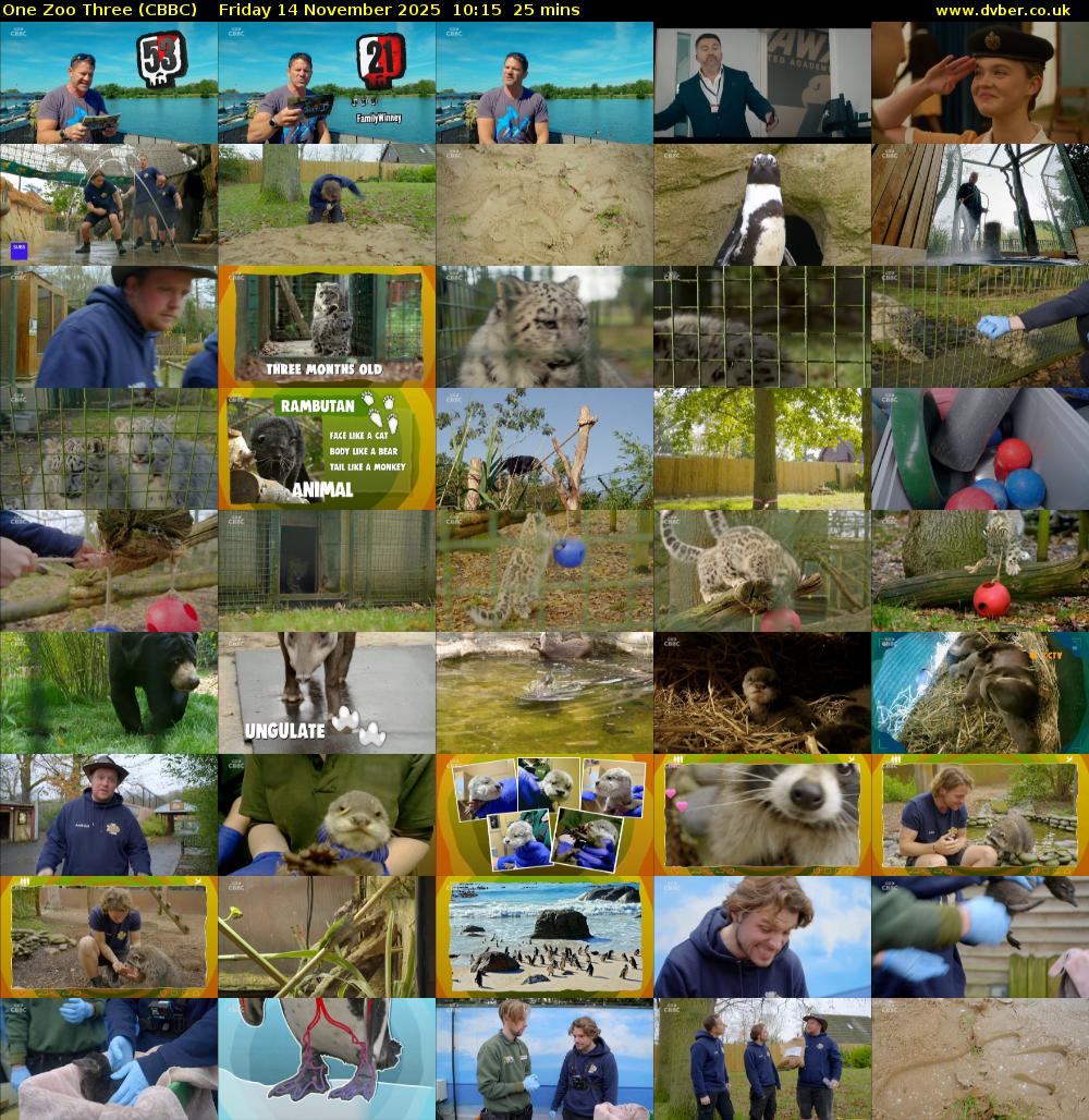 One Zoo Three (CBBC) Friday 14 November 2025 10:15 - 10:40