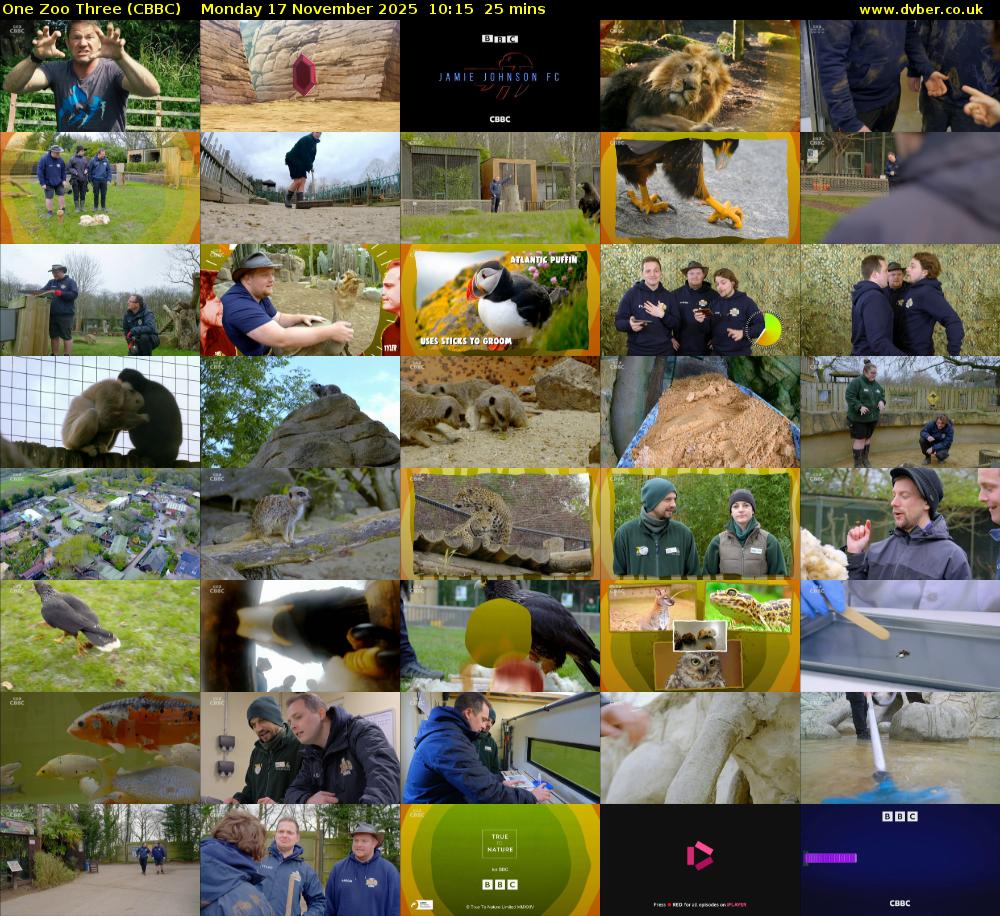 One Zoo Three (CBBC) Monday 17 November 2025 10:15 - 10:40
