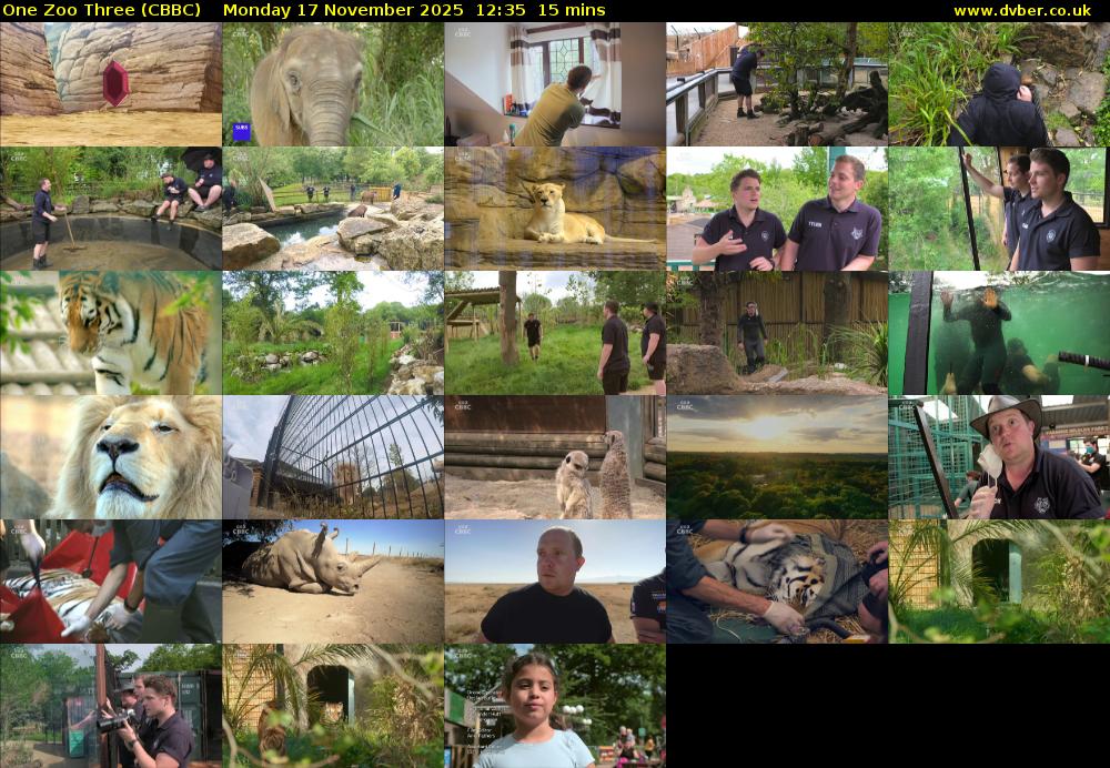 One Zoo Three (CBBC) Monday 17 November 2025 12:35 - 12:50