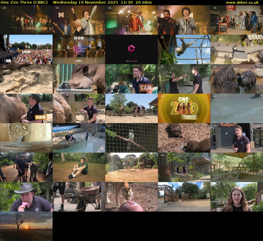 One Zoo Three (CBBC) Wednesday 19 November 2025 12:30 - 12:50