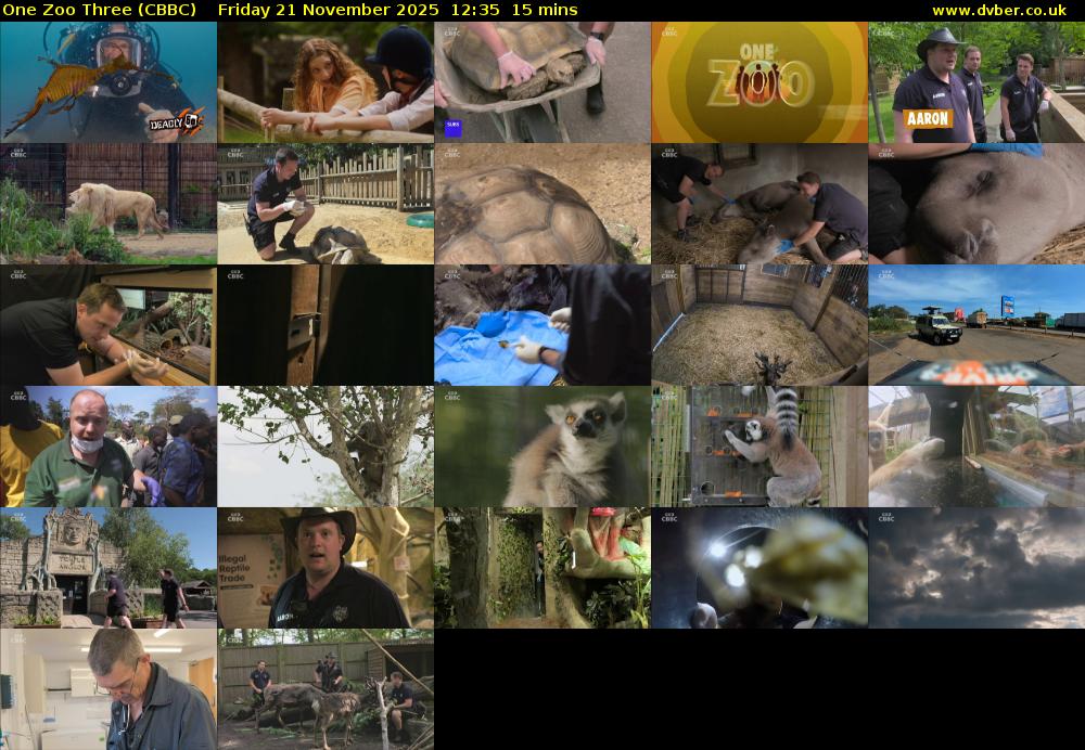 One Zoo Three (CBBC) Friday 21 November 2025 12:35 - 12:50