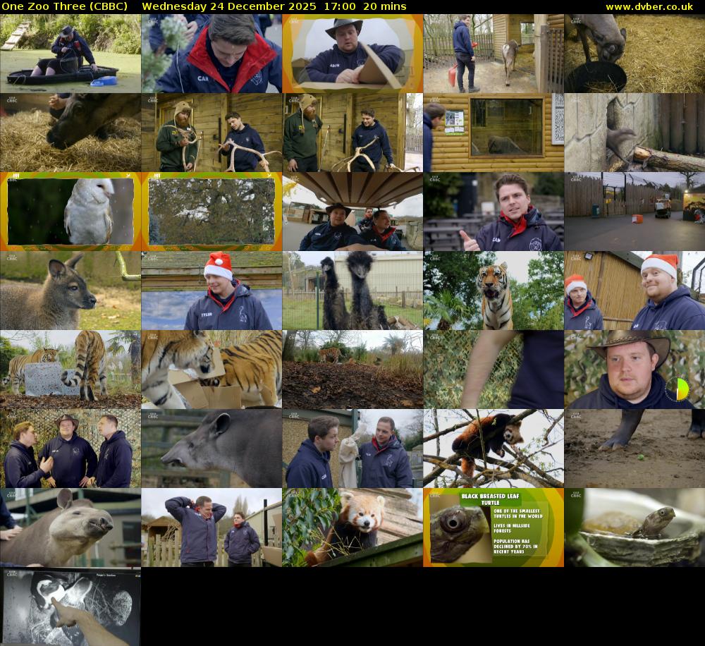 One Zoo Three (CBBC) Wednesday 24 December 2025 17:00 - 17:20