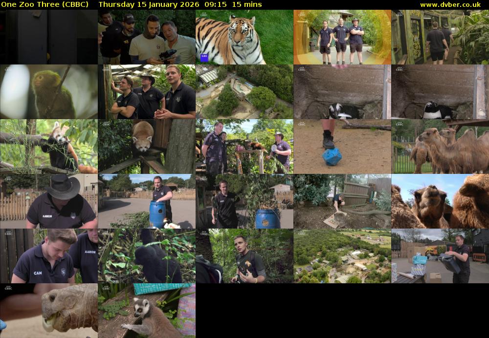 One Zoo Three (CBBC) Thursday 15 January 2026 09:15 - 09:30