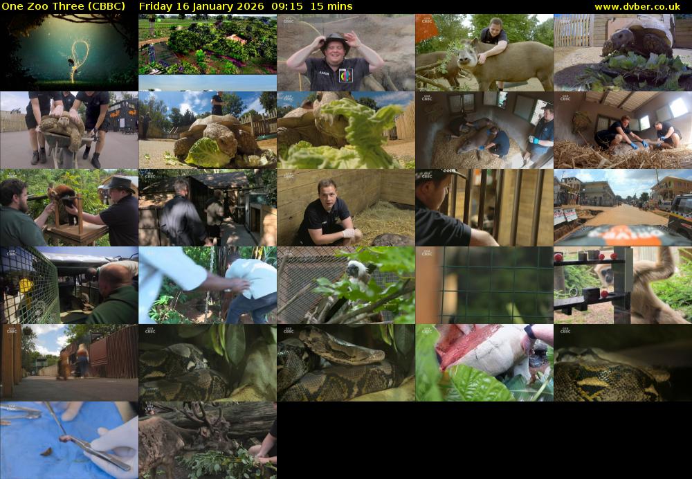 One Zoo Three (CBBC) Friday 16 January 2026 09:15 - 09:30