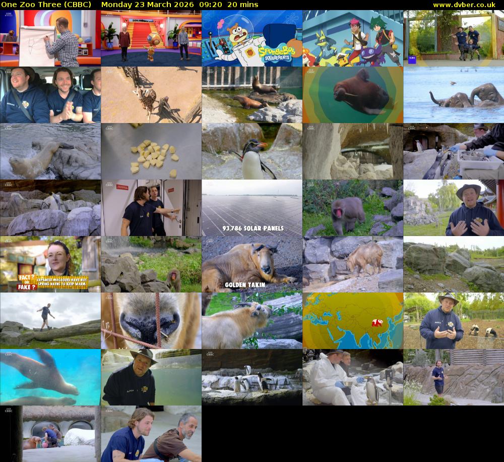 One Zoo Three (CBBC) Monday 23 March 2026 09:20 - 09:40