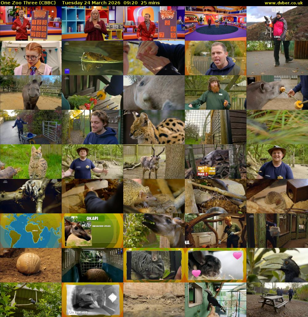 One Zoo Three (CBBC) Tuesday 24 March 2026 09:20 - 09:45