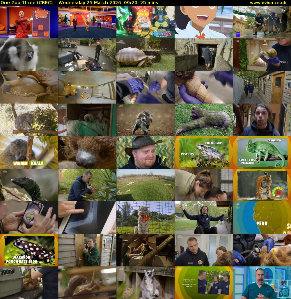 One Zoo Three (CBBC) Wednesday 25 March 2026 09:20 - 09:45
