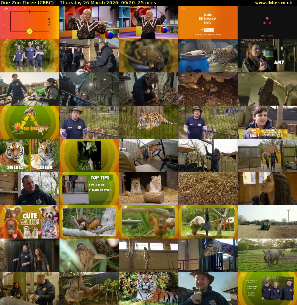 One Zoo Three (CBBC) Thursday 26 March 2026 09:20 - 09:45