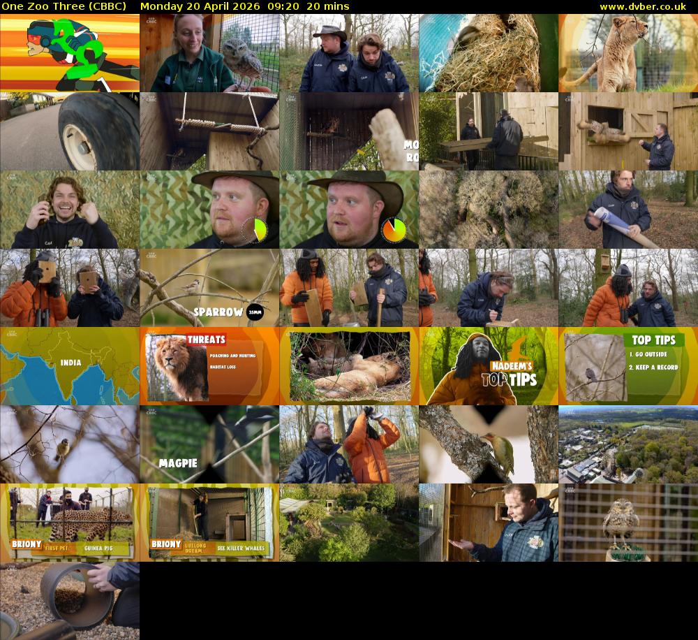 One Zoo Three (CBBC) Monday 20 April 2026 09:20 - 09:40