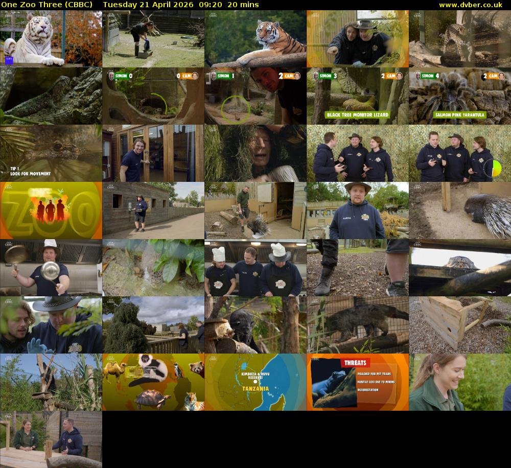 One Zoo Three (CBBC) Tuesday 21 April 2026 09:20 - 09:40