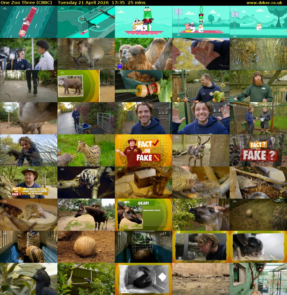One Zoo Three (CBBC) Tuesday 21 April 2026 17:35 - 18:00