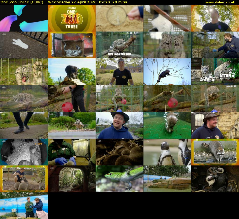 One Zoo Three (CBBC) Wednesday 22 April 2026 09:20 - 09:40