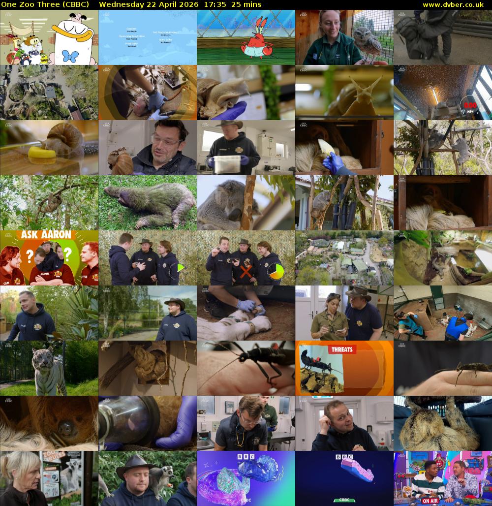 One Zoo Three (CBBC) Wednesday 22 April 2026 17:35 - 18:00