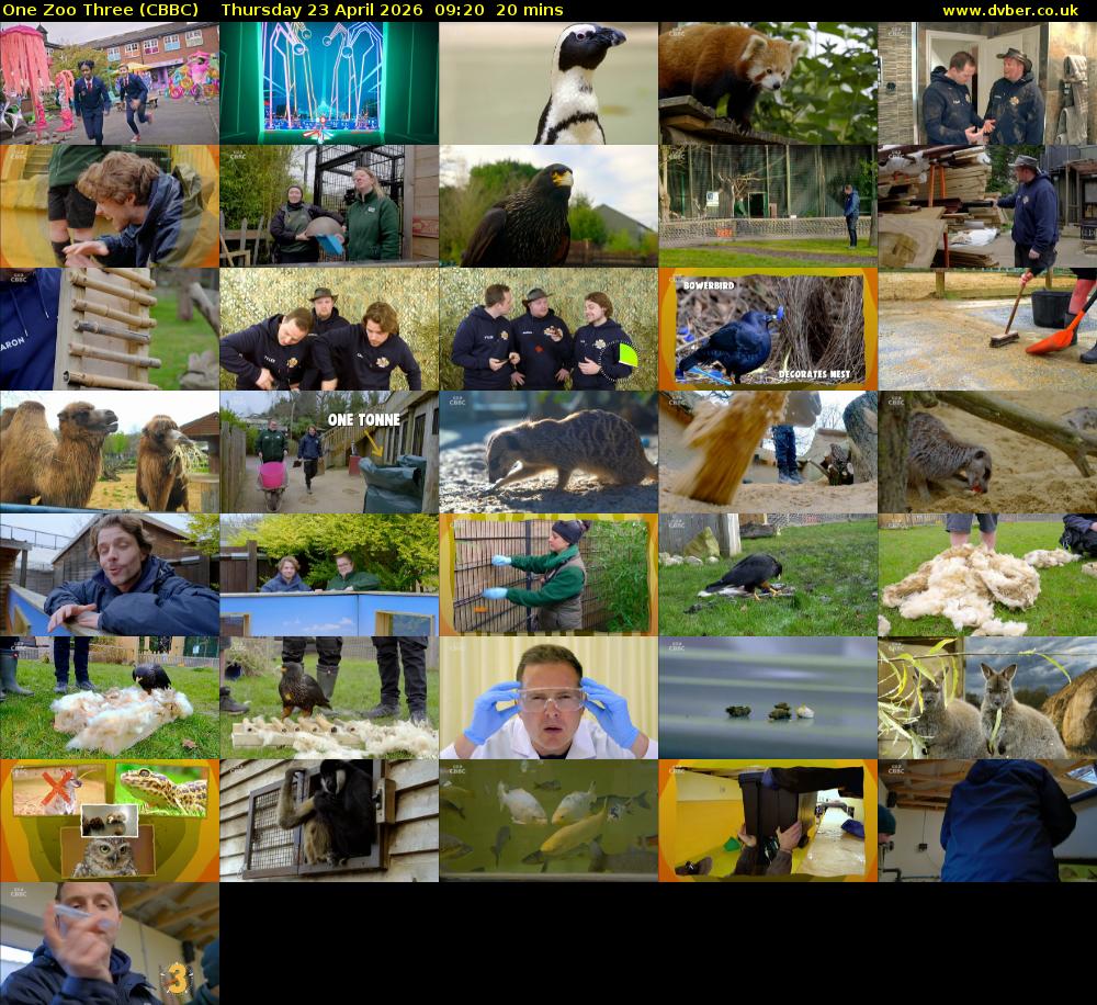 One Zoo Three (CBBC) Thursday 23 April 2026 09:20 - 09:40