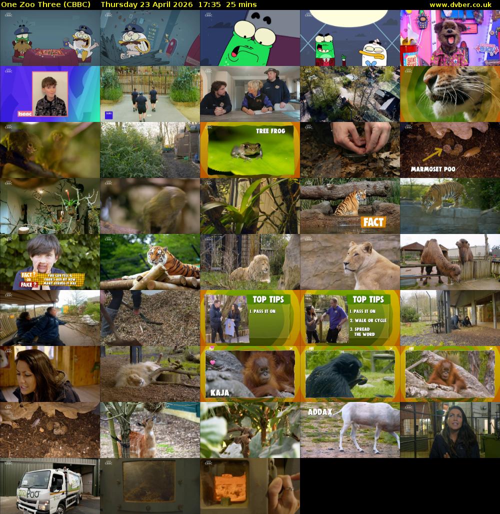 One Zoo Three (CBBC) Thursday 23 April 2026 17:35 - 18:00