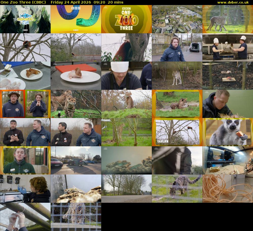 One Zoo Three (CBBC) Friday 24 April 2026 09:20 - 09:40