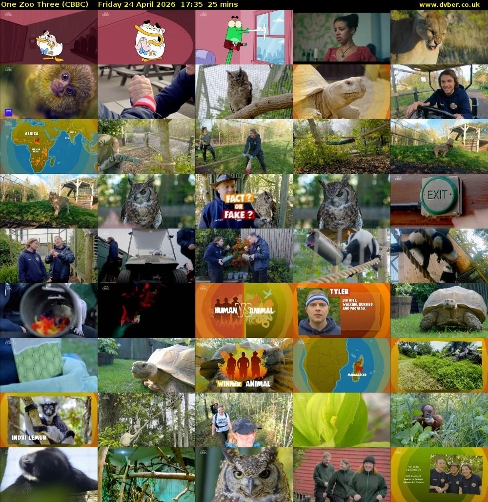 One Zoo Three (CBBC) Friday 24 April 2026 17:35 - 18:00