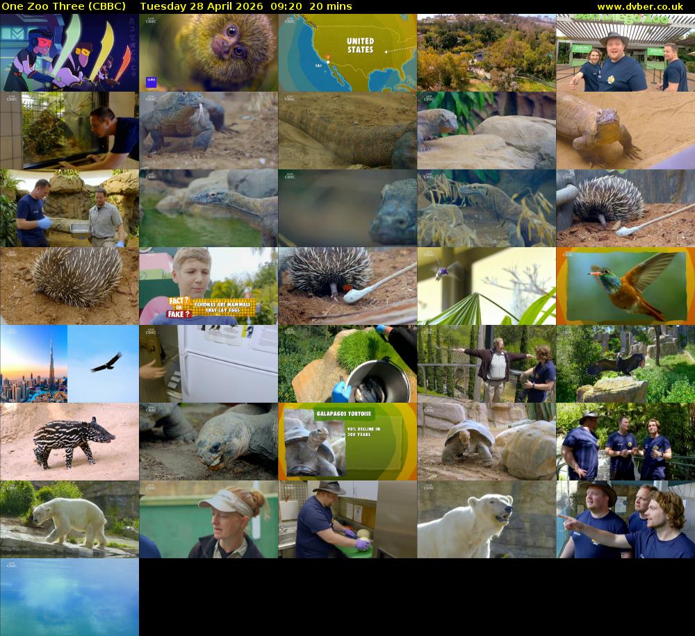 One Zoo Three (CBBC) Tuesday 28 April 2026 09:20 - 09:40