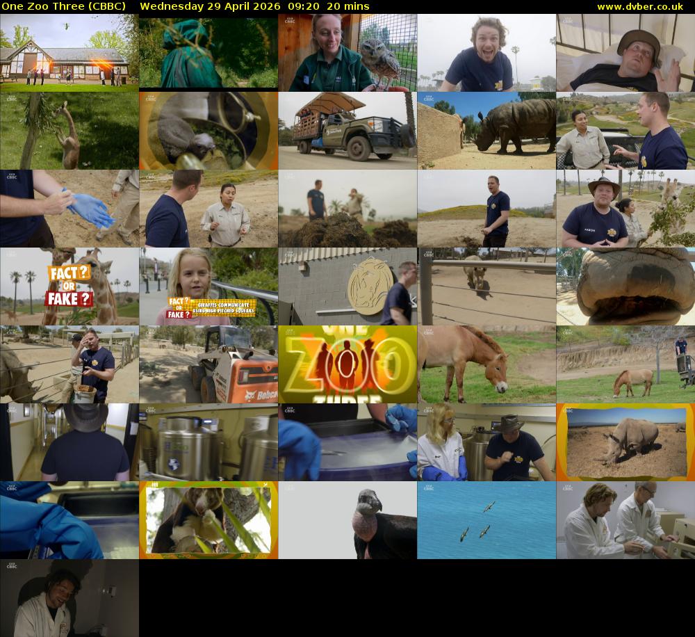 One Zoo Three (CBBC) Wednesday 29 April 2026 09:20 - 09:40