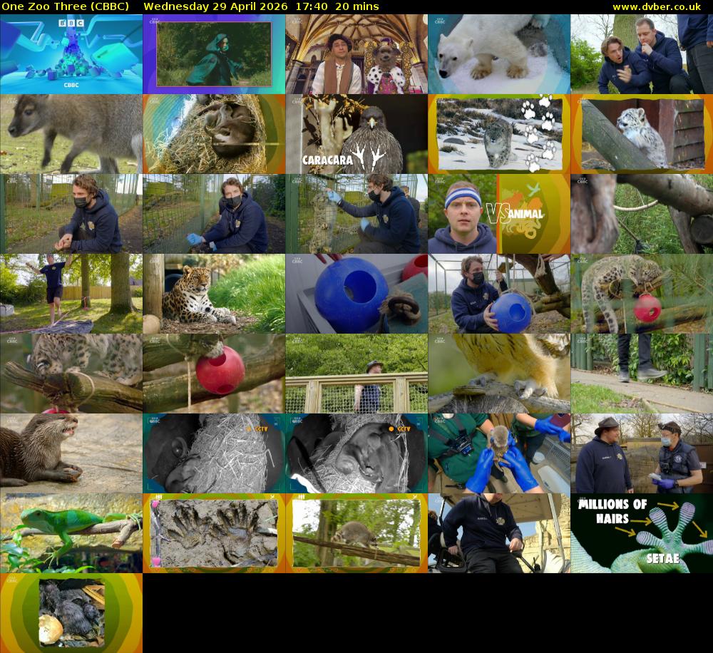 One Zoo Three (CBBC) Wednesday 29 April 2026 17:40 - 18:00