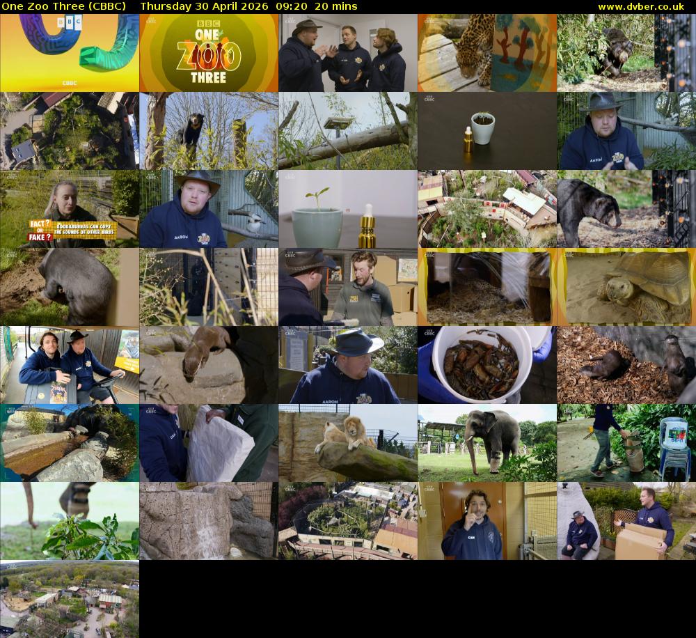 One Zoo Three (CBBC) Thursday 30 April 2026 09:20 - 09:40