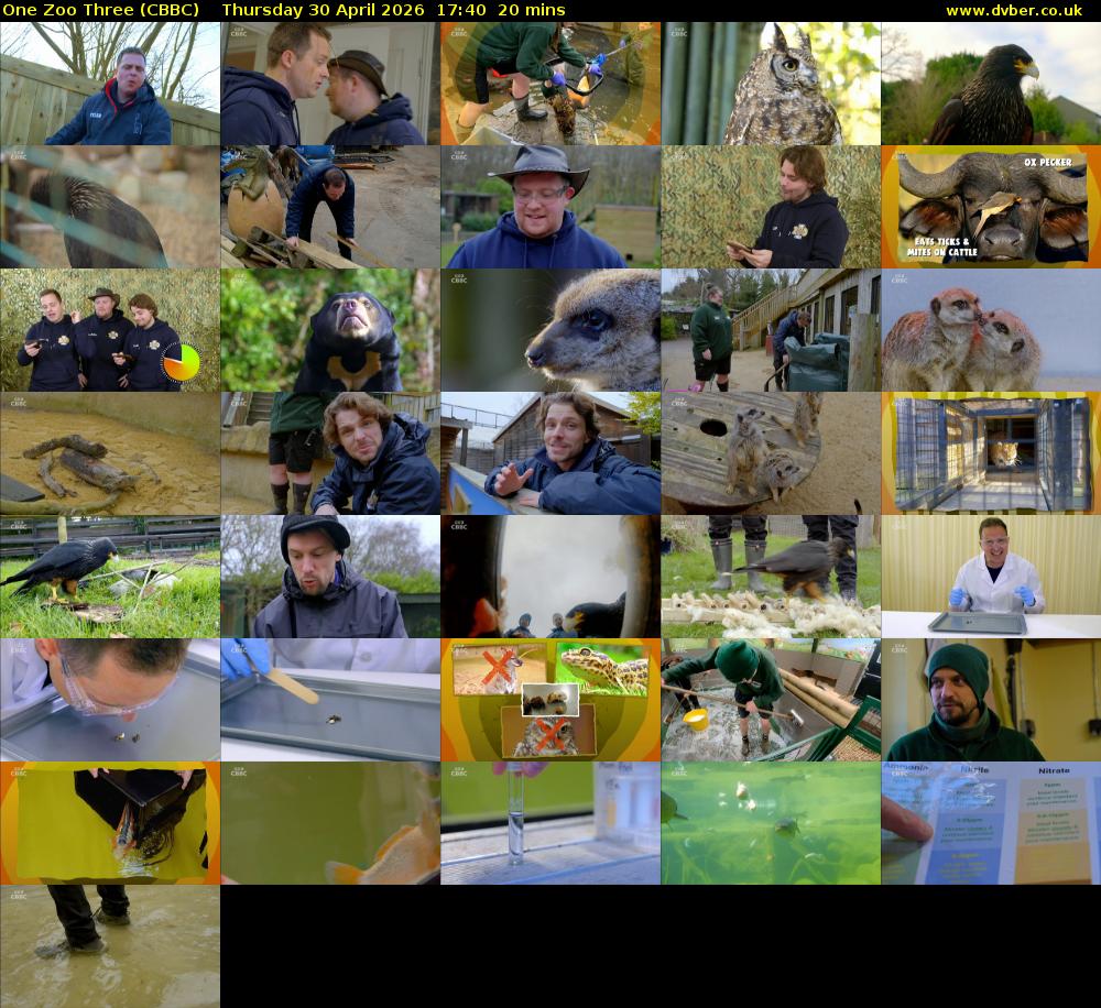 One Zoo Three (CBBC) Thursday 30 April 2026 17:40 - 18:00