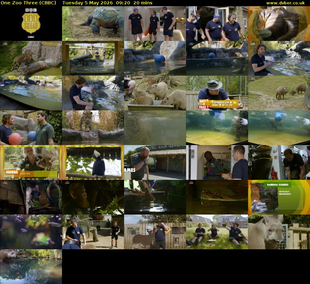 One Zoo Three (CBBC) Tuesday 5 May 2026 09:20 - 09:40