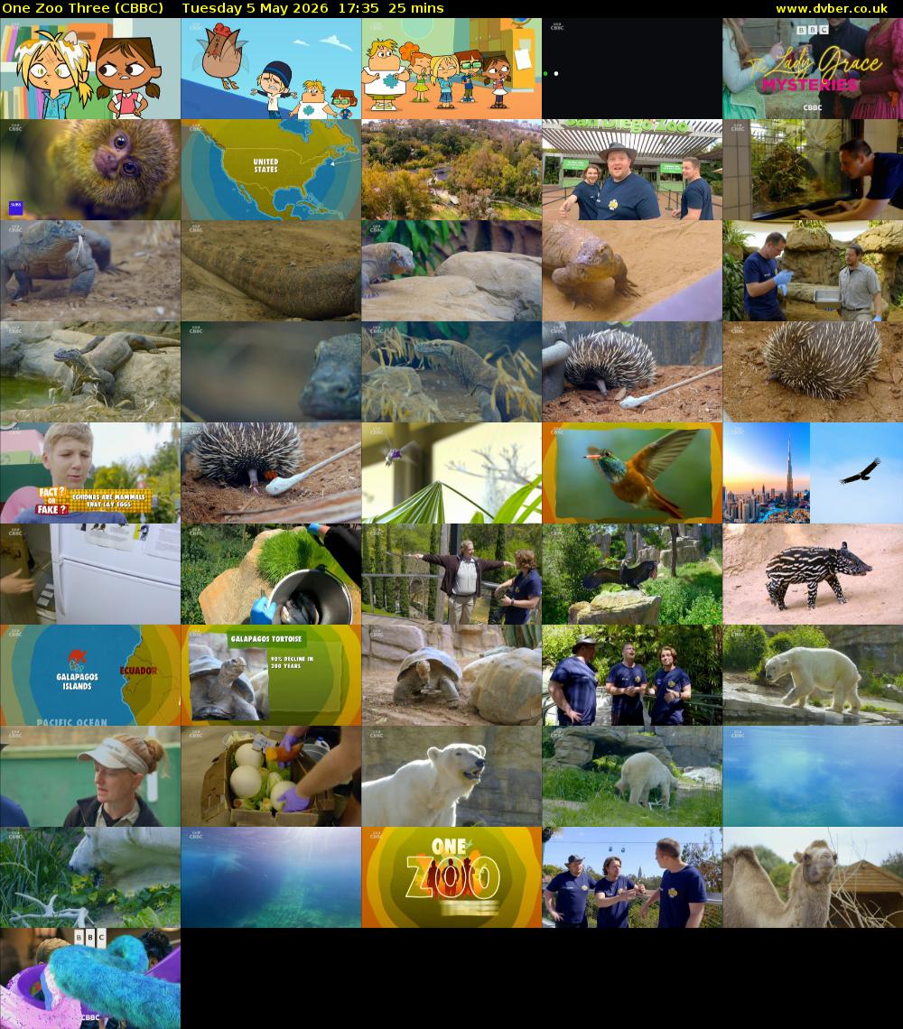 One Zoo Three (CBBC) Tuesday 5 May 2026 17:35 - 18:00