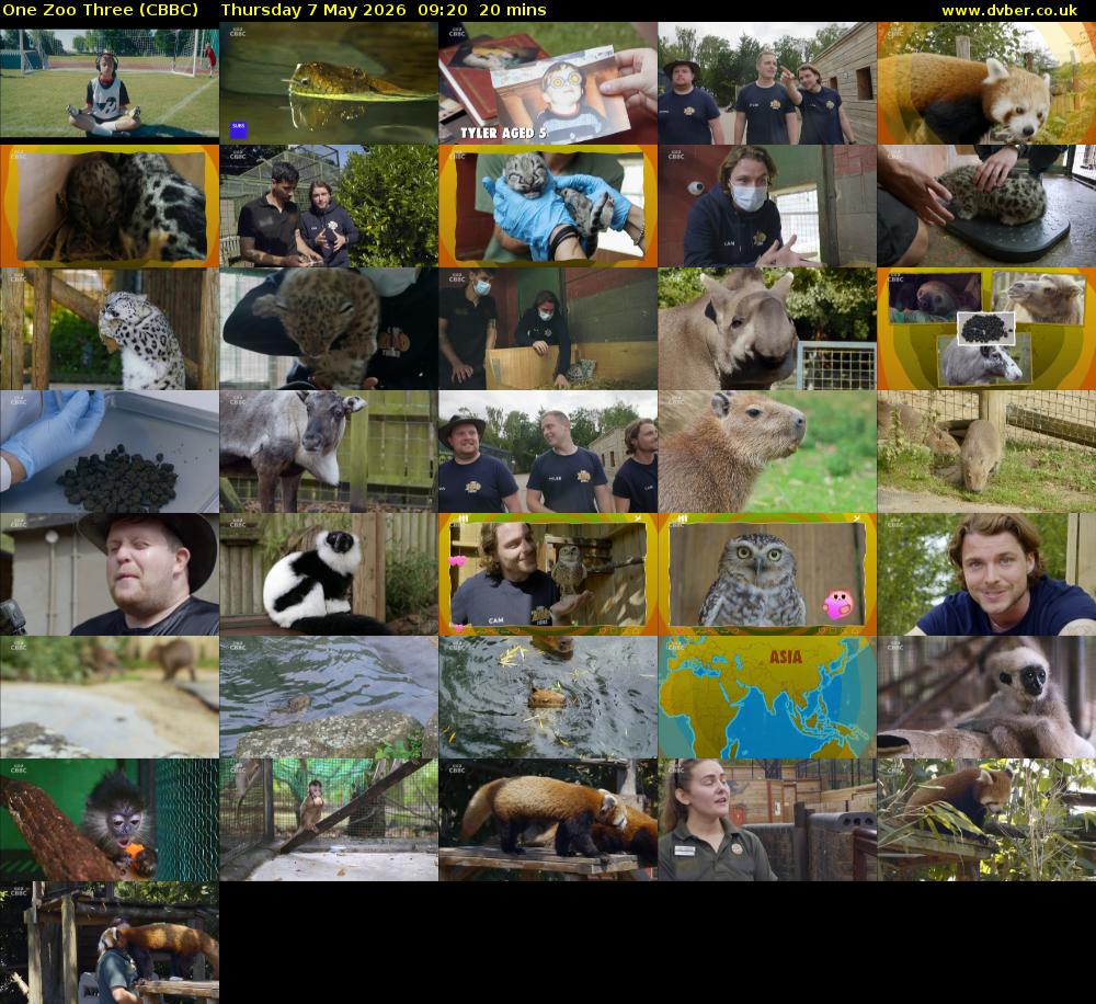 One Zoo Three (CBBC) Thursday 7 May 2026 09:20 - 09:40