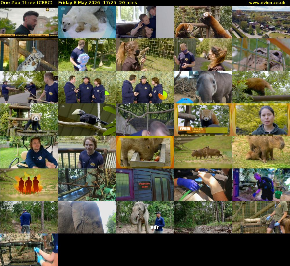 One Zoo Three (CBBC) Friday 8 May 2026 17:25 - 17:45