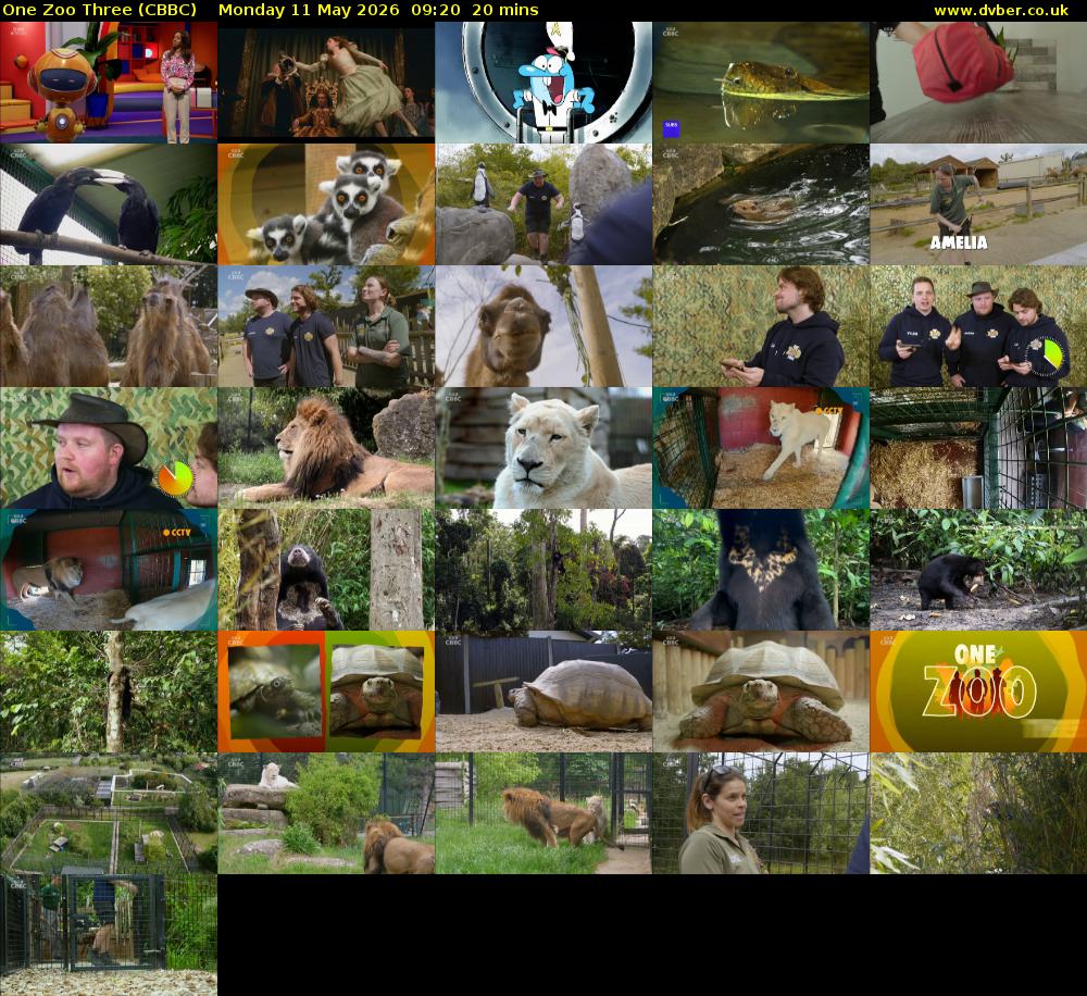 One Zoo Three (CBBC) Monday 11 May 2026 09:20 - 09:40