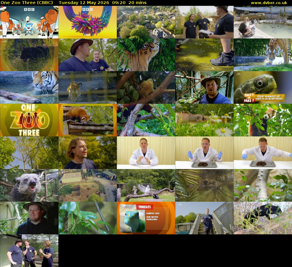 One Zoo Three (CBBC) Tuesday 12 May 2026 09:20 - 09:40