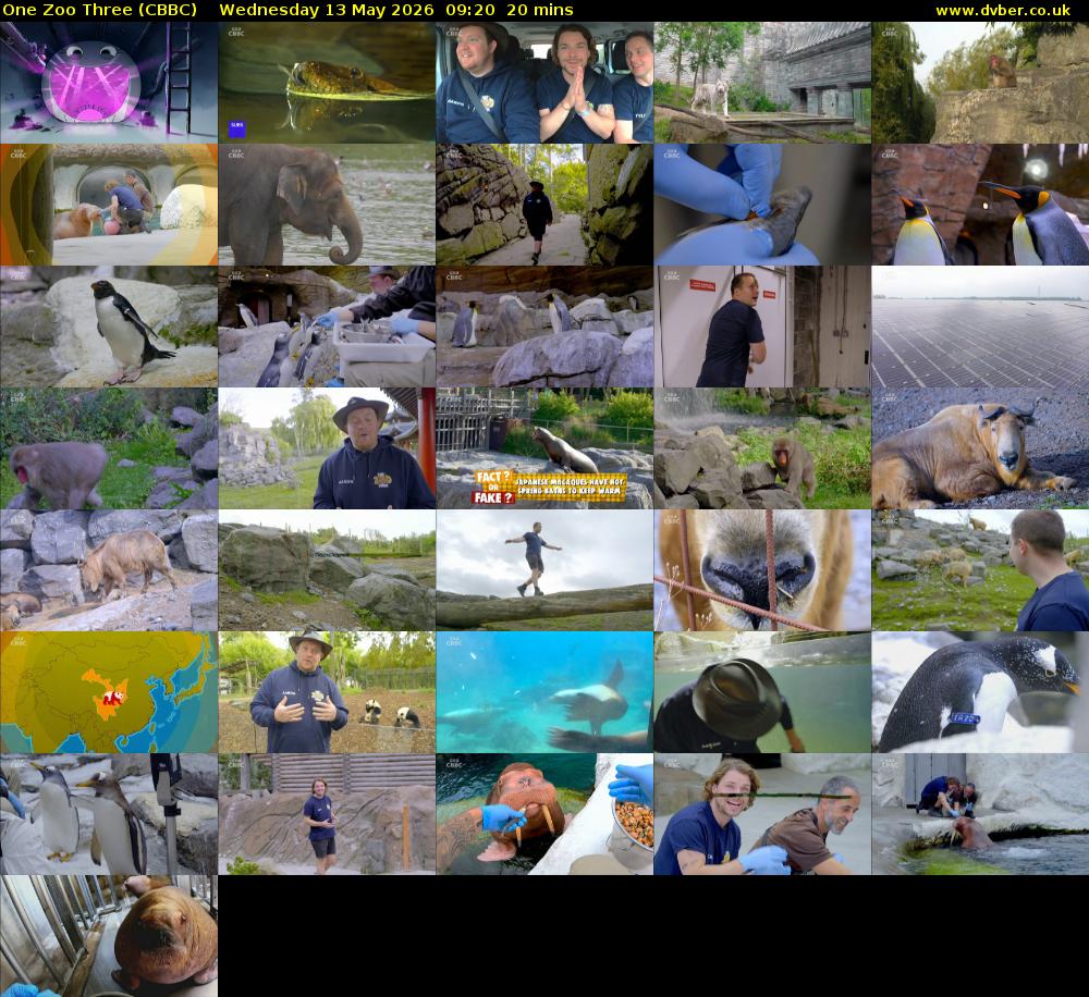 One Zoo Three (CBBC) Wednesday 13 May 2026 09:20 - 09:40
