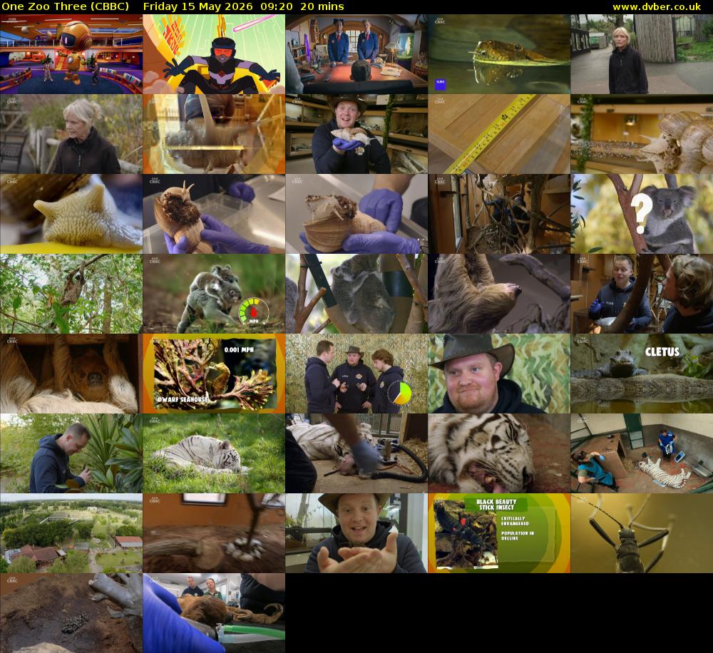 One Zoo Three (CBBC) Friday 15 May 2026 09:20 - 09:40