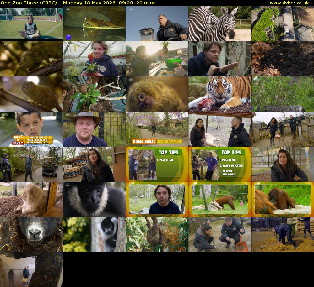 One Zoo Three (CBBC) Monday 18 May 2026 09:20 - 09:40