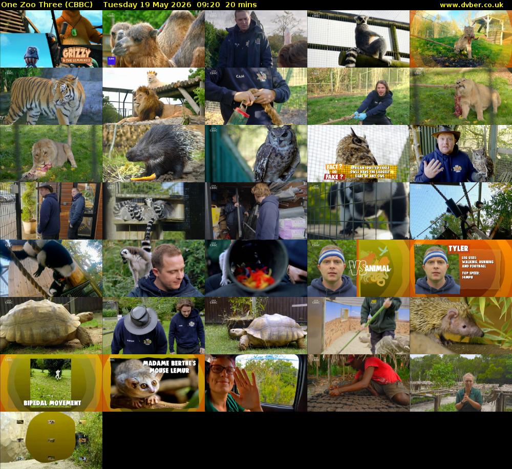One Zoo Three (CBBC) Tuesday 19 May 2026 09:20 - 09:40