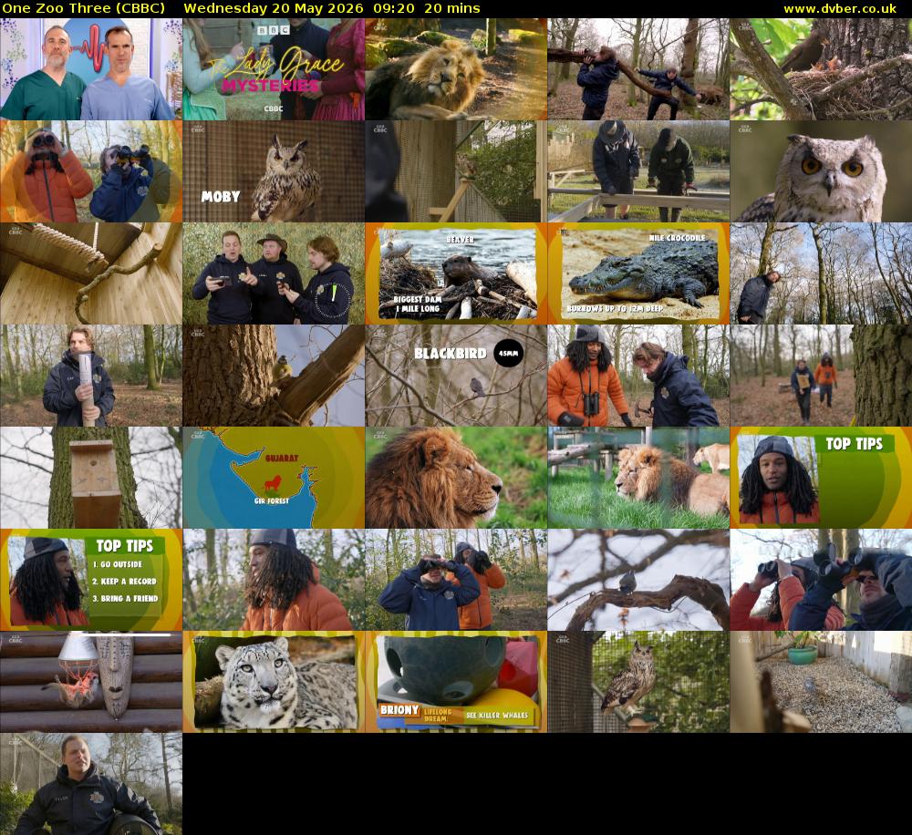 One Zoo Three (CBBC) Wednesday 20 May 2026 09:20 - 09:40