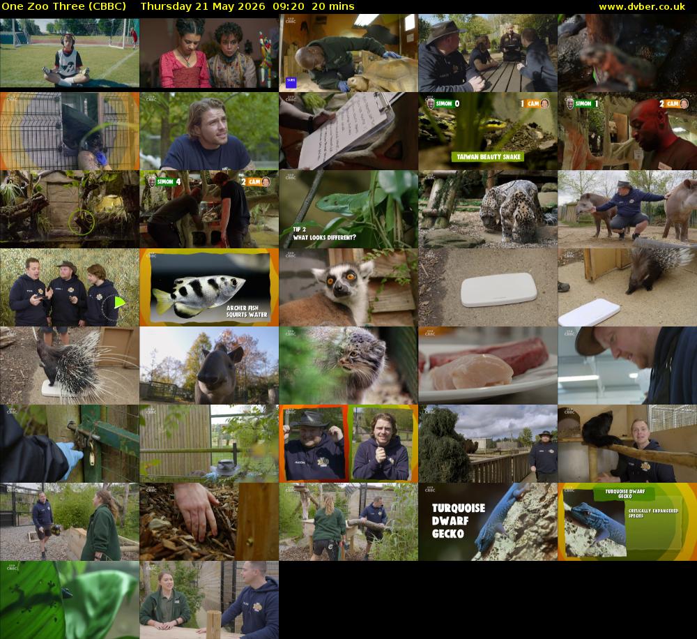 One Zoo Three (CBBC) Thursday 21 May 2026 09:20 - 09:40