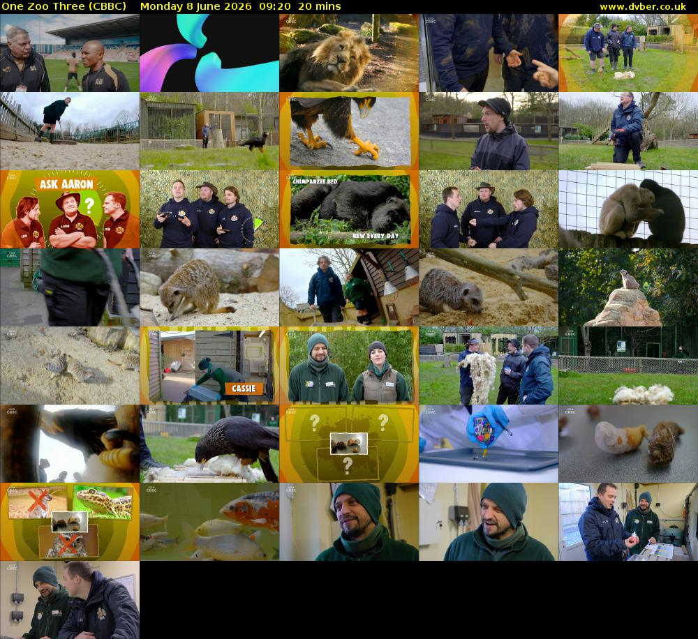 One Zoo Three (CBBC) Monday 8 June 2026 09:20 - 09:40