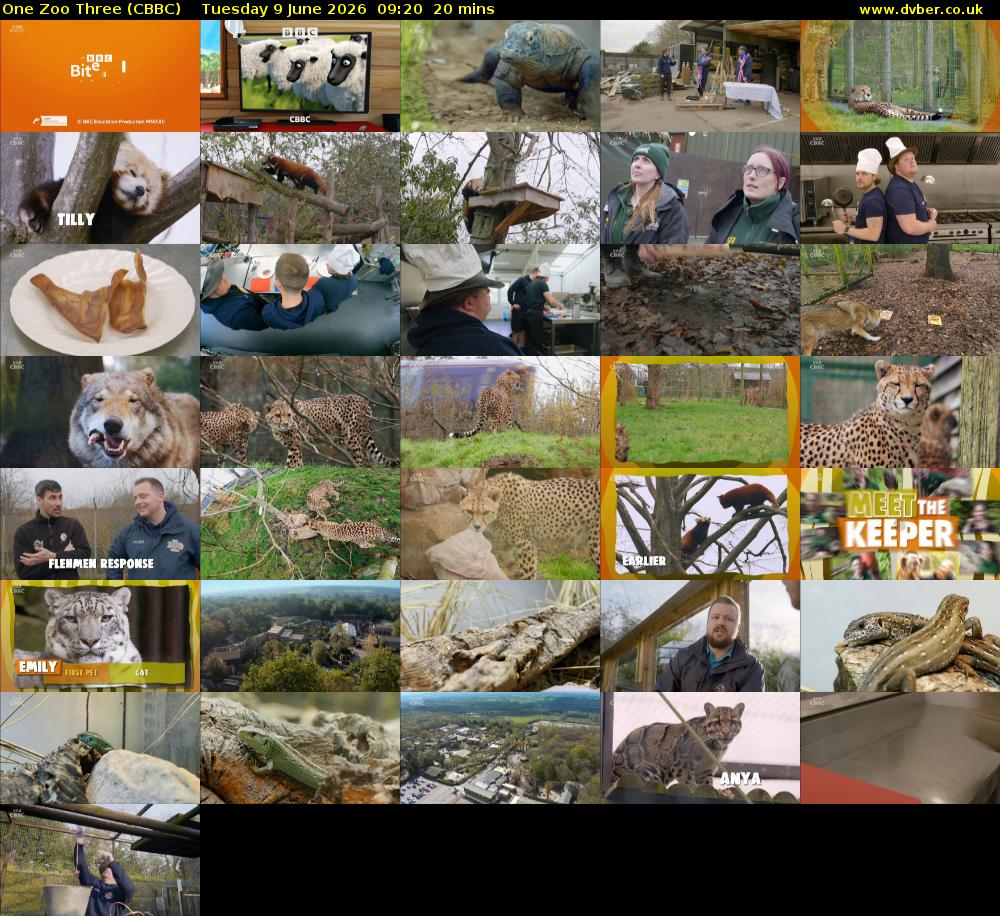 One Zoo Three (CBBC) Tuesday 9 June 2026 09:20 - 09:40