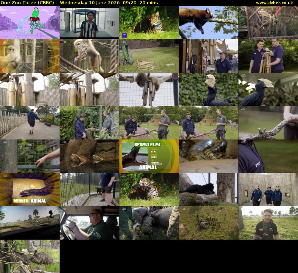 One Zoo Three (CBBC) Wednesday 10 June 2026 09:20 - 09:40