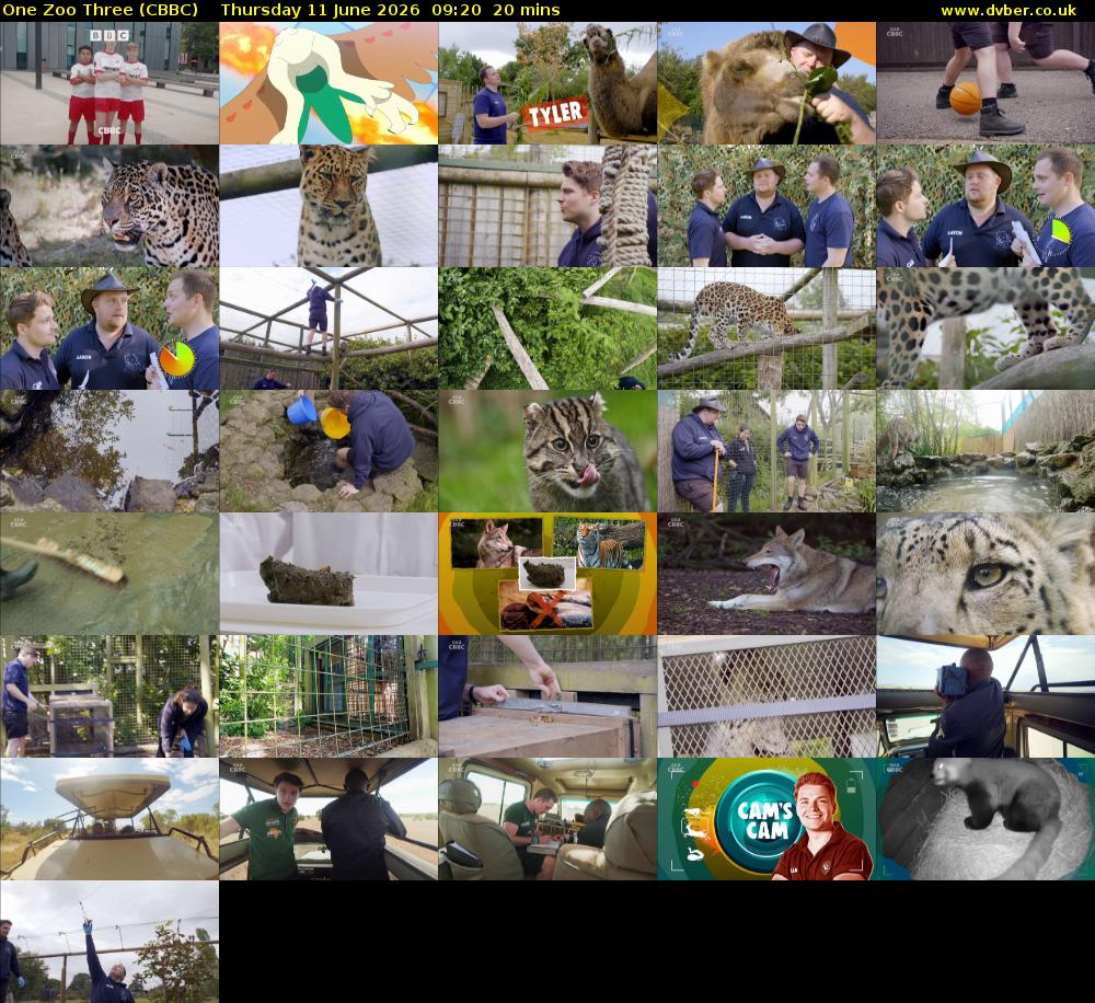One Zoo Three (CBBC) Thursday 11 June 2026 09:20 - 09:40
