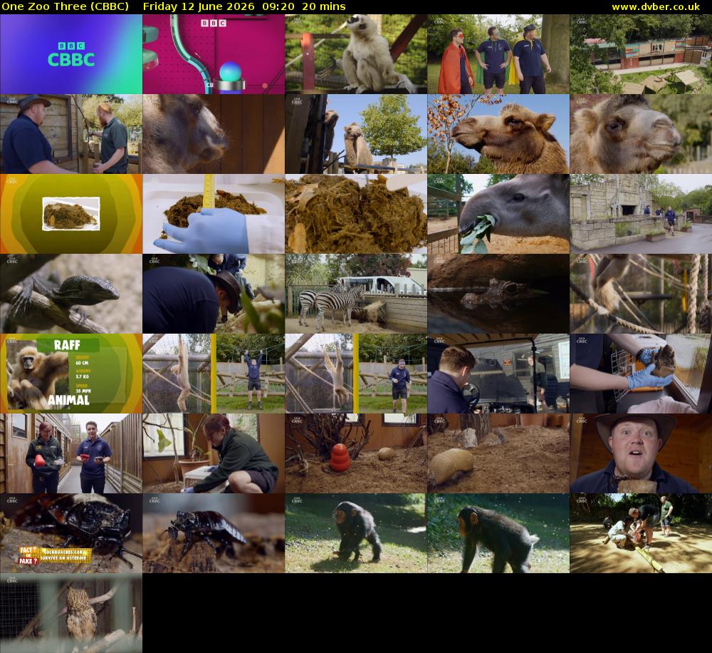 One Zoo Three (CBBC) Friday 12 June 2026 09:20 - 09:40