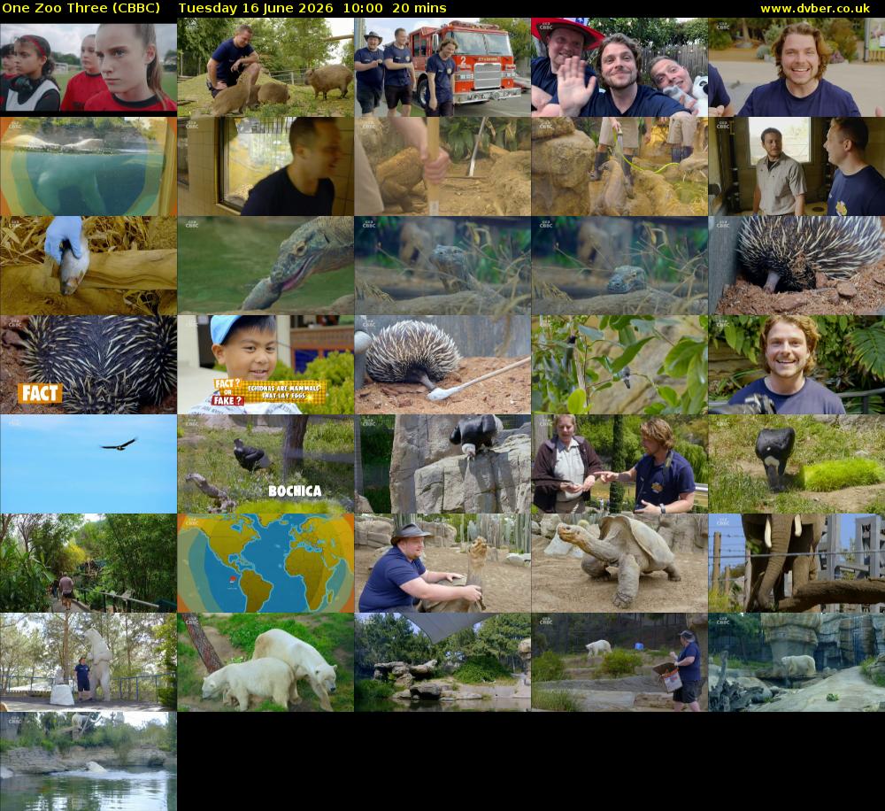 One Zoo Three (CBBC) Tuesday 16 June 2026 10:00 - 10:20