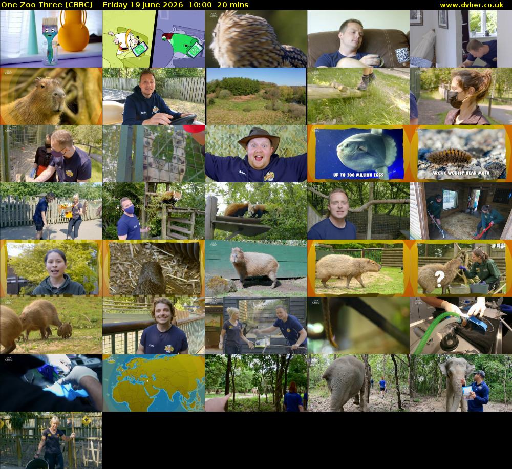 One Zoo Three (CBBC) Friday 19 June 2026 10:00 - 10:20